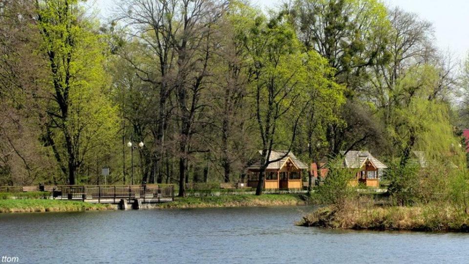 U Dzieciola Apartamento Zwierzyniec Exterior foto